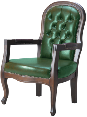 Polar PL 9501 Misafir Koltuğu