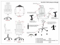 Allego C100