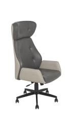 Safir SFR 001
