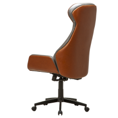 Regno RGN 001