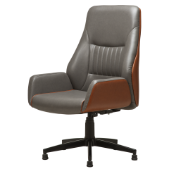 Regno RGN 003