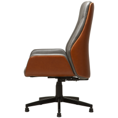 Regno RGN 003