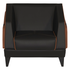 Bold BD 001 Tekli Koltuk